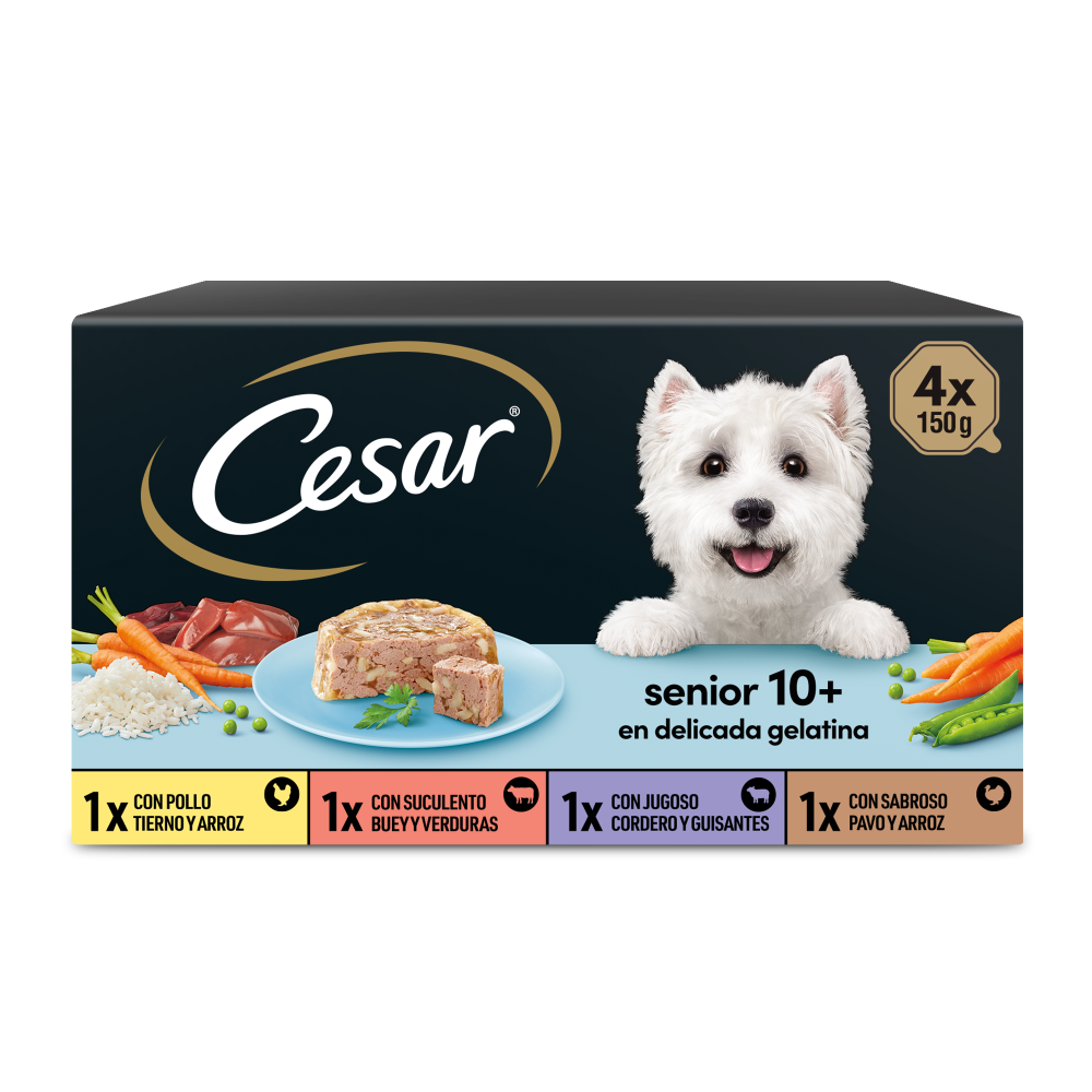 CESAR Comida Húmeda para Perros Senior en gelatina Multipack 4x150g