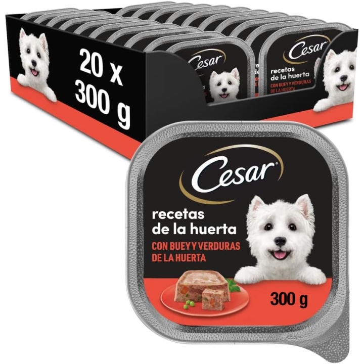 CESAR Comida Húmeda para Perros, Sabor Buey en Paté (Pack de 14 Tarrinas x  150g)