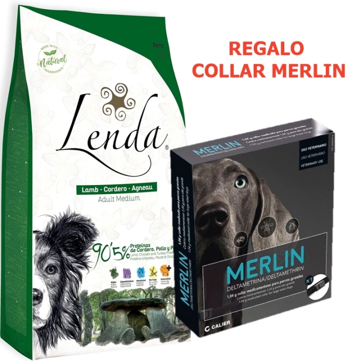 LENDA Lamb 12 KG + Regalo